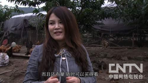王秀琴