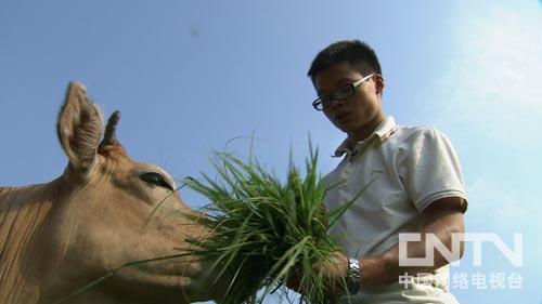 湖北羅田縣賀根 一個90后大學(xué)生的黃牛夢